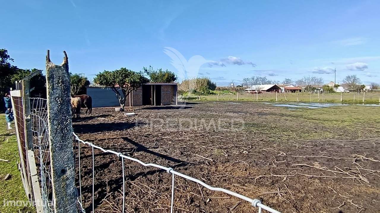 Moradia T3 + 2 com ampla área externa-11