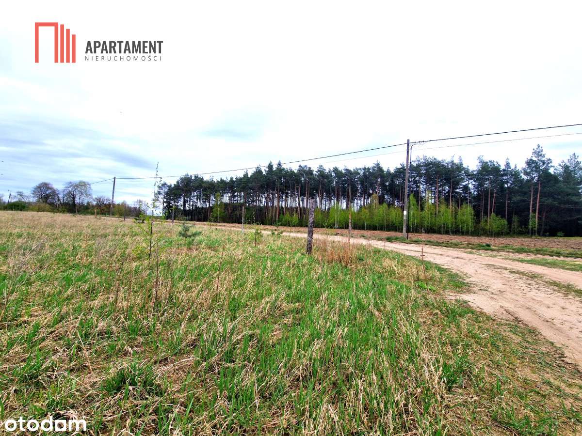 Duża Działka W Otulinie Lasów! - Pełny obrazek: 3/5