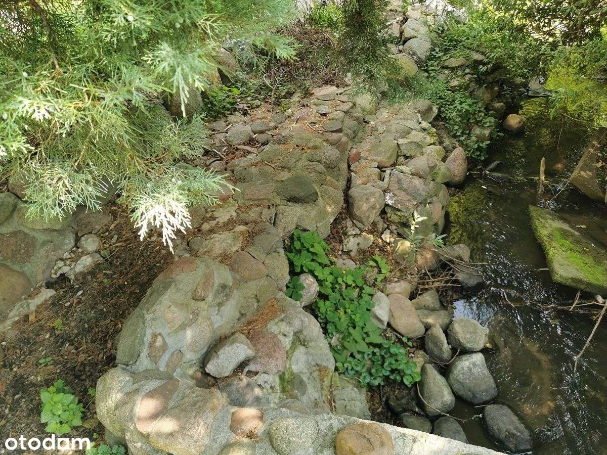 magiczne siedlisko w Foluszu koło Pleszewa-17