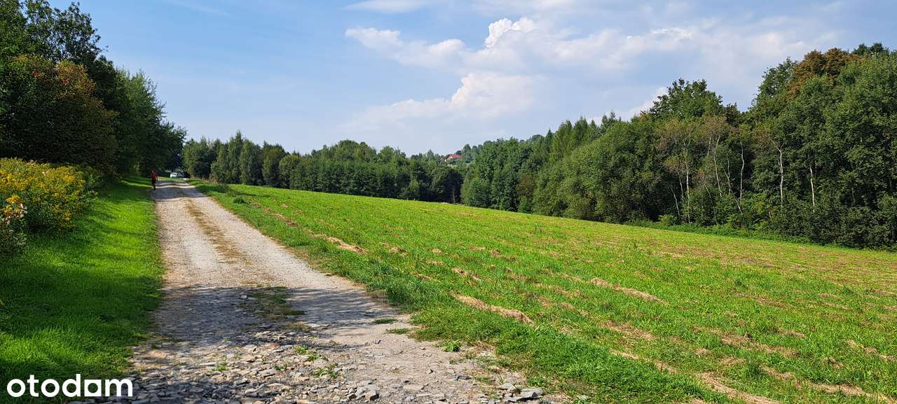 Działka budowlana w zacisznej i zielonej okolicy | BEZPOŚREDNIO - Pełny obrazek: 3/5