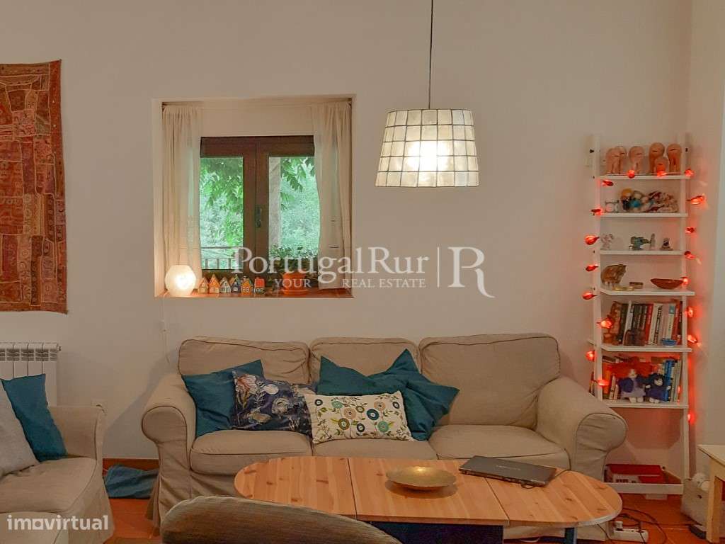 Quinta Rural 8.000 m2 - 2 Casas Habitáveis - confina com Ribeira-8