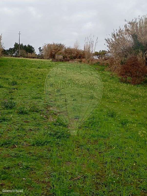 Terreno  para venda - Grande imagem: 3/33