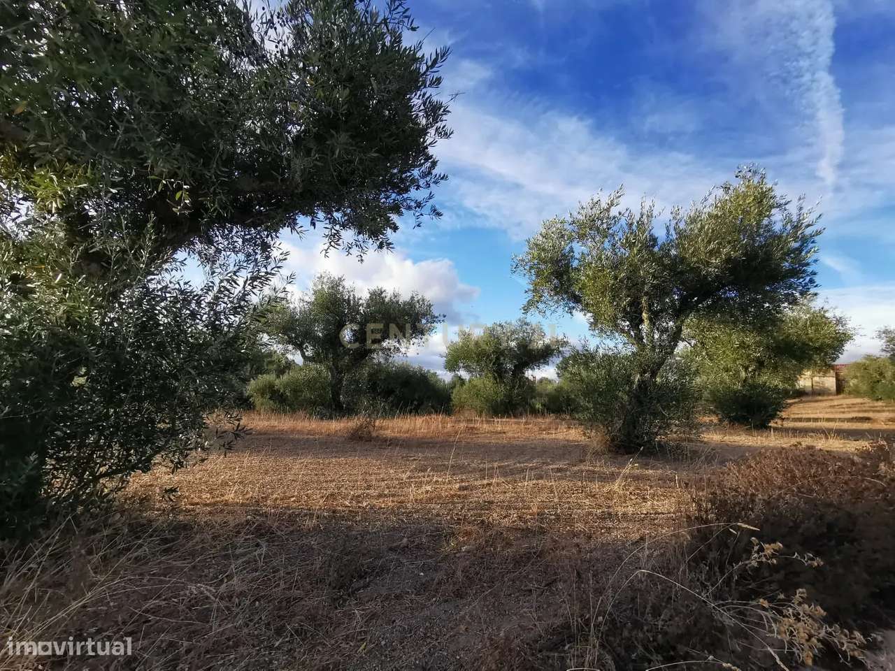 Terreno rústico com construção e poço – Freixial do Campo - Grande imagem: 5/14