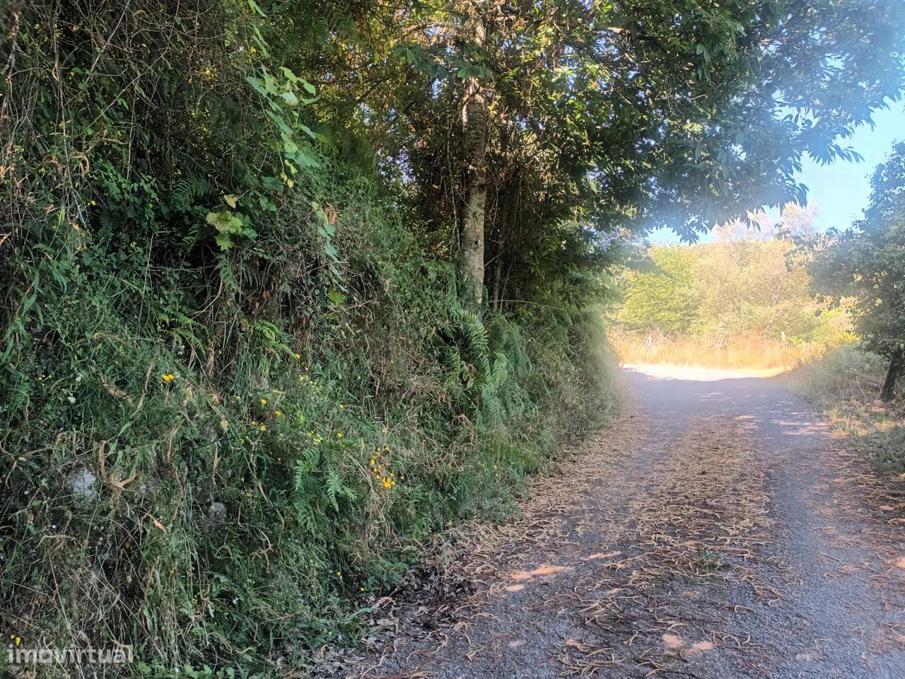 Terreno Grovelas, Ponte da Barca-5