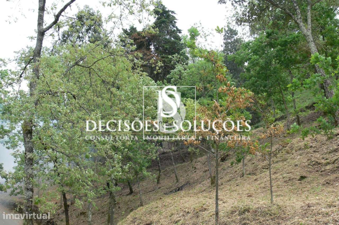 Terreno Não definido em Salamonde-5
