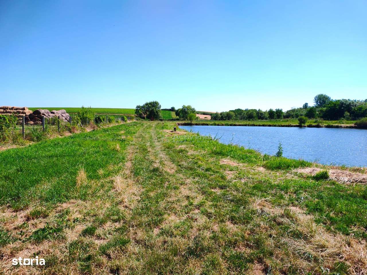 Teren 18.247 mp cu balta de pescuit – Misca, Comuna Chislaz, Bihor - Imagine principală: 5/11