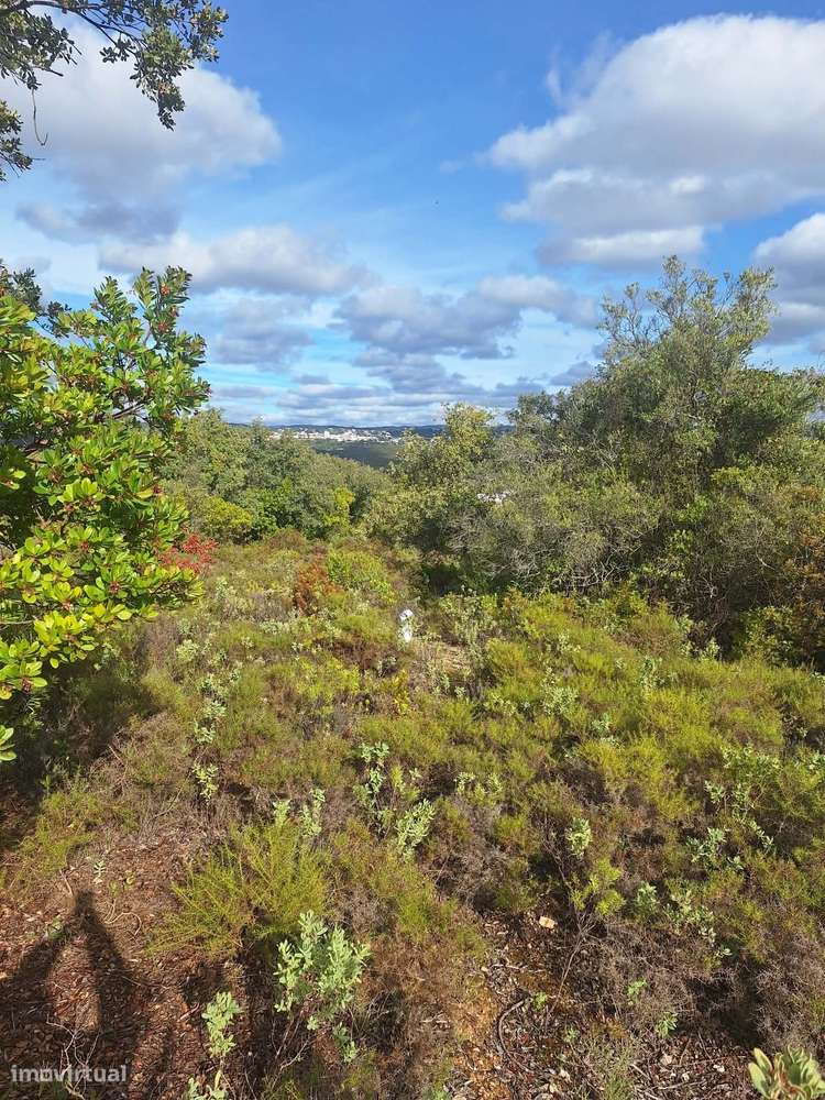 Terreno no Ruína no concelho de Faro - Grande imagem: 4/15