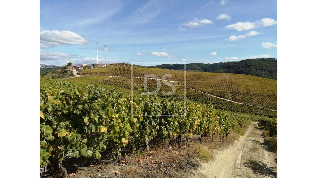 Quinta da Cumeira-13