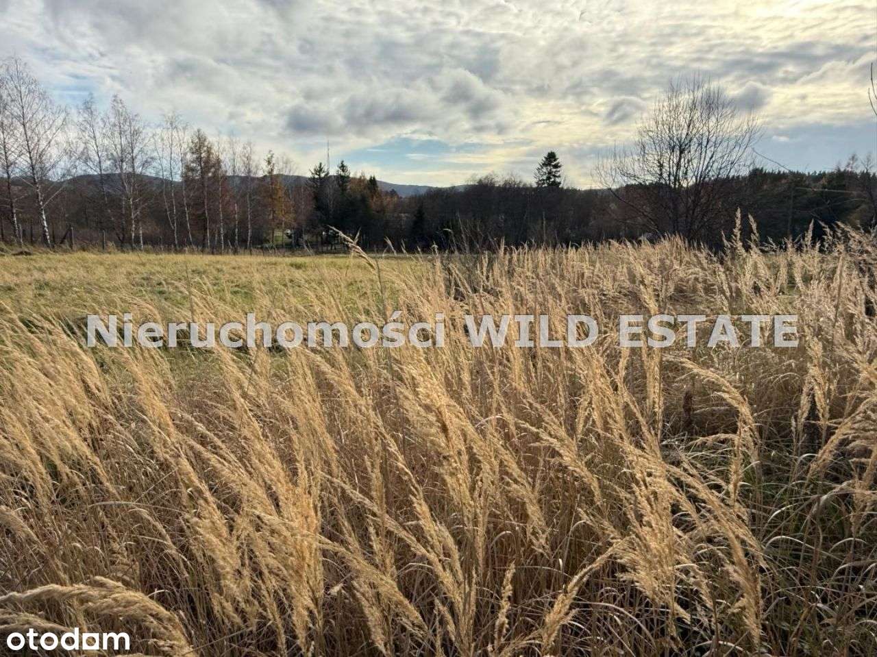 Dom, 76 m², Nowy Łupków-10