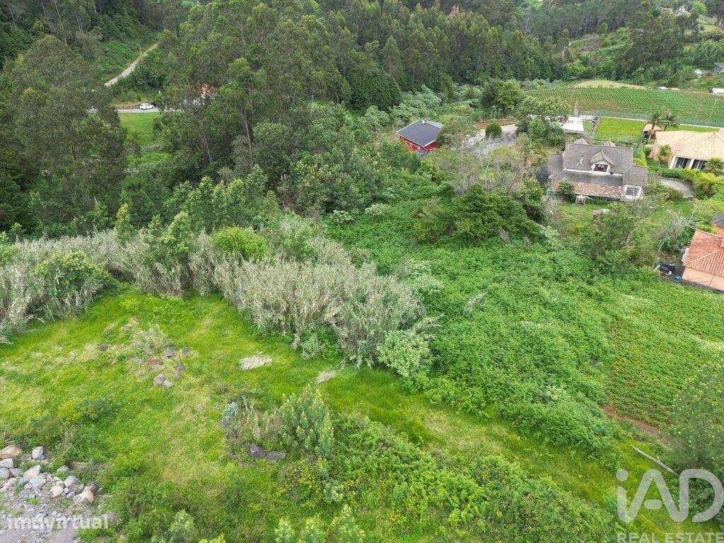 Terreno em São Jorge de 1310,00 m2 - Grande imagem: 4/6