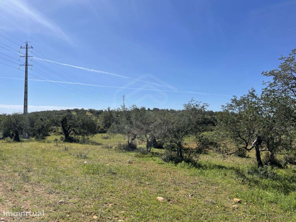 Terreno Rústico com 28680 m2, Paderne - Albufeira, Algarve - Grande imagem: 5/9
