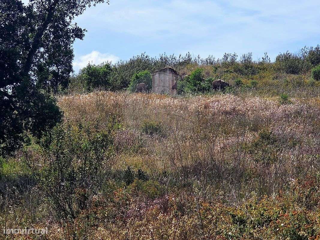 Terreno  para venda-7