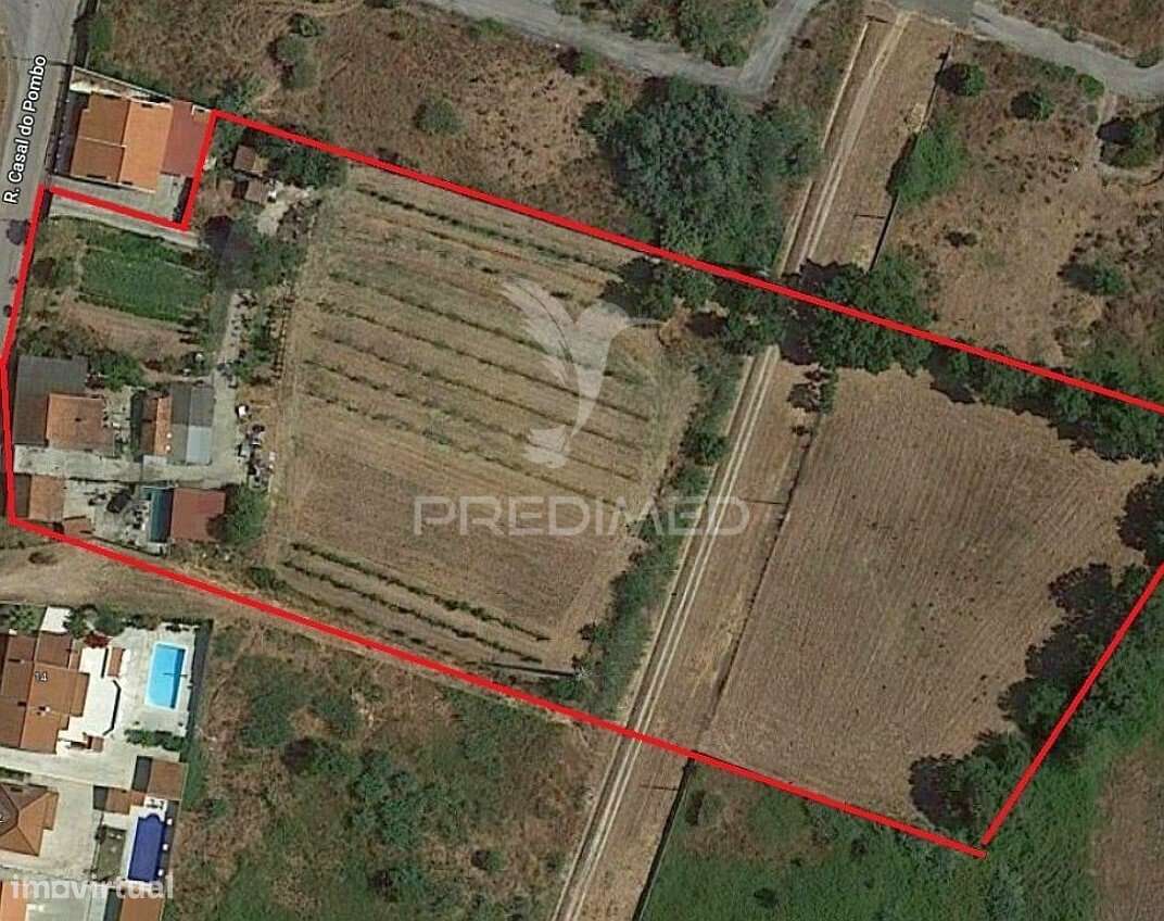 Quintinha em Santarém - Grande imagem: 4/11