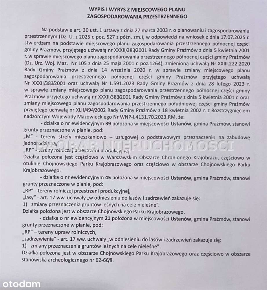 Ustanów 3,8 ha trzy działki - Pełny obrazek: 4/5