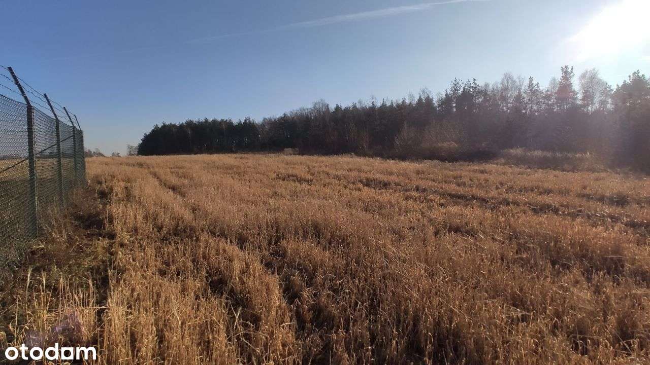 Działka Inwestycyjna Dk78 Zawiercie - Pełny obrazek: 5/13