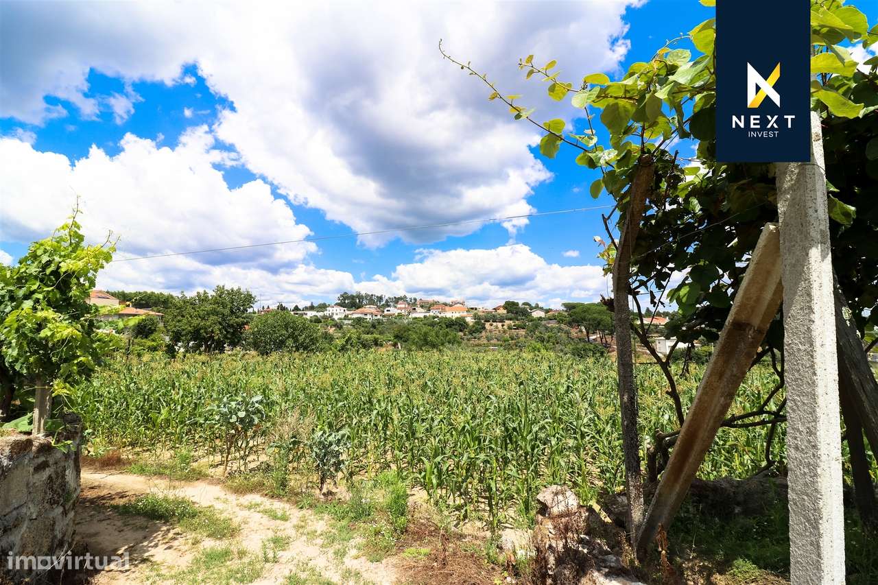 Quintinha  Venda em São João de Lourosa,Viseu - Grande imagem: 4/15