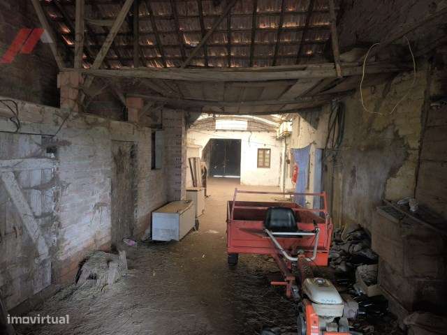 Casa Tipo Gandareza para Restauro | Zona de Vagos-8