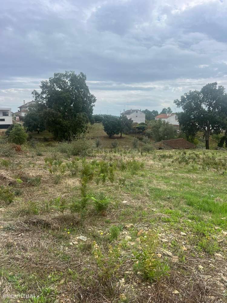 Terreno com vistas deslumbrantes em Proença-a-Nova - Grande imagem: 5/7