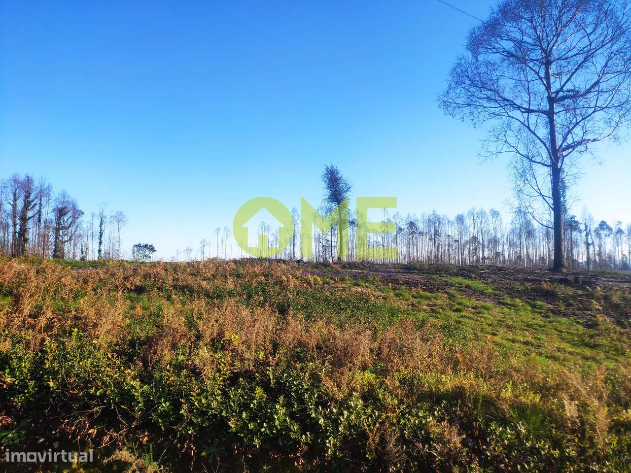 Terreno para construção com projeto aprovado - Grande imagem: 5/11