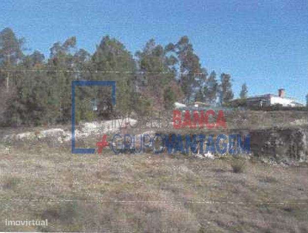 LOTEAMENTO MORADIAS - POVOA DE LANHOSO - Grande imagem: 5/12