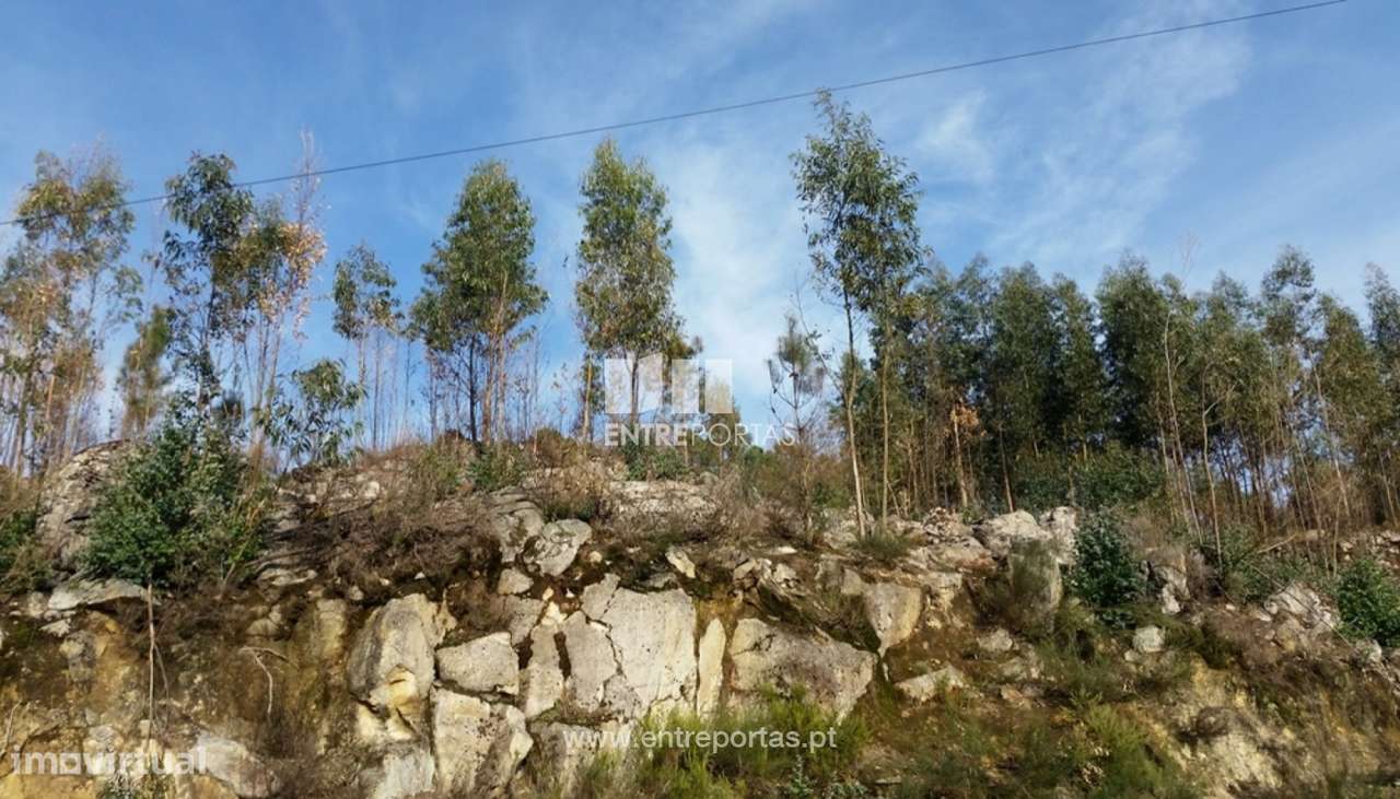 Venda Terreno, Frente Estrada, Penha Longa, Marco de Canaveses - Grande imagem: 5/6