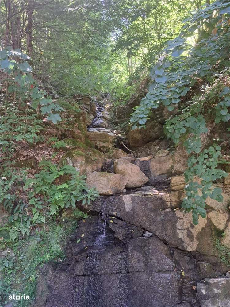 RECO Apartament cu doua camere in Padurea Neagra - Imagine principală: 5/5