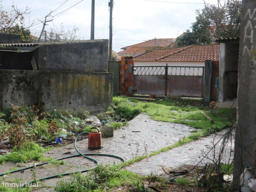 DOIS ARTIGOS - MURTOSA-8