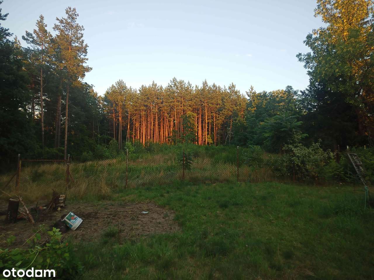 Działki pod mińskiem, całość lub podzielone - Pełny obrazek: 5/8