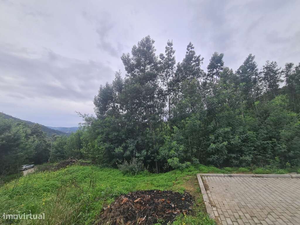 Terreno para construção em zona das Torres de Mondego - Grande imagem: 2/4