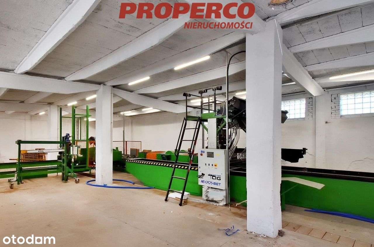 Budynek prod.-usług, 423m2, Zajaczków, Piekoszów - Pełny obrazek: 5/17