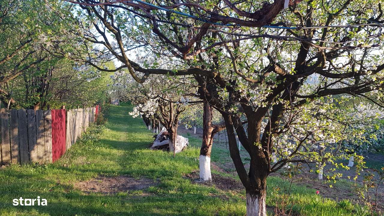 Teren intravilan ideal constructie casa - Pietraria - Barnova – IASI-16