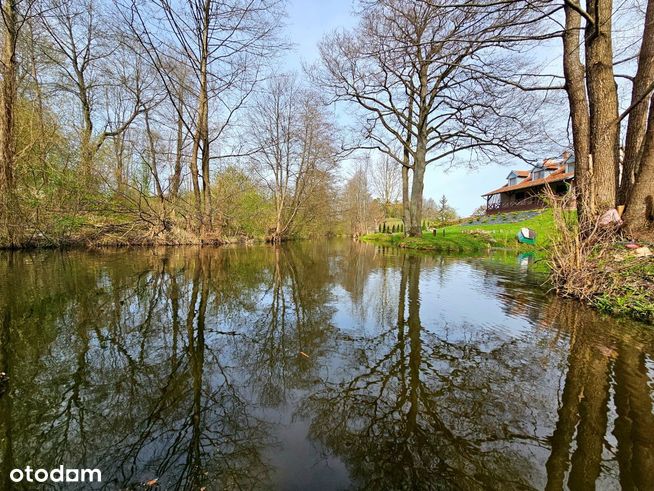 Działka z linią brzegową