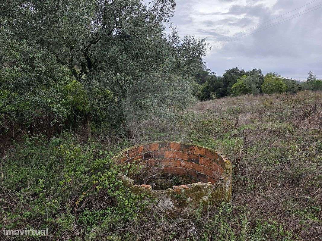 Moradia T5 para venda - Grande imagem: 4/13