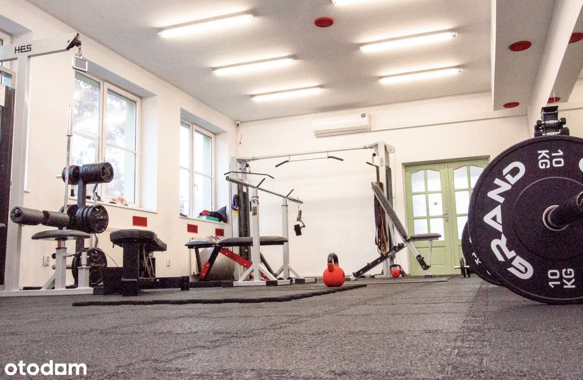 Wrocław Robotnicza – Jasny i wysoki lokal 70 m² na I piętrze - wynajmę - Pełny obrazek: 2/11