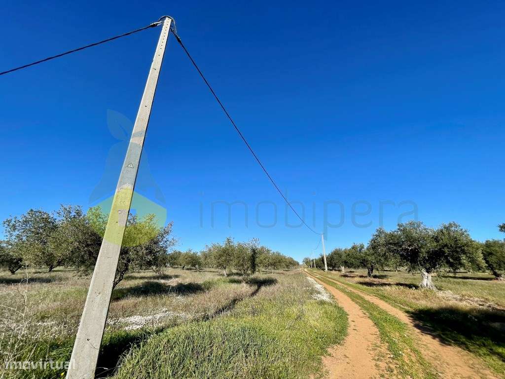 Herdade no Alqueva em Moura - Grande imagem: 2/19