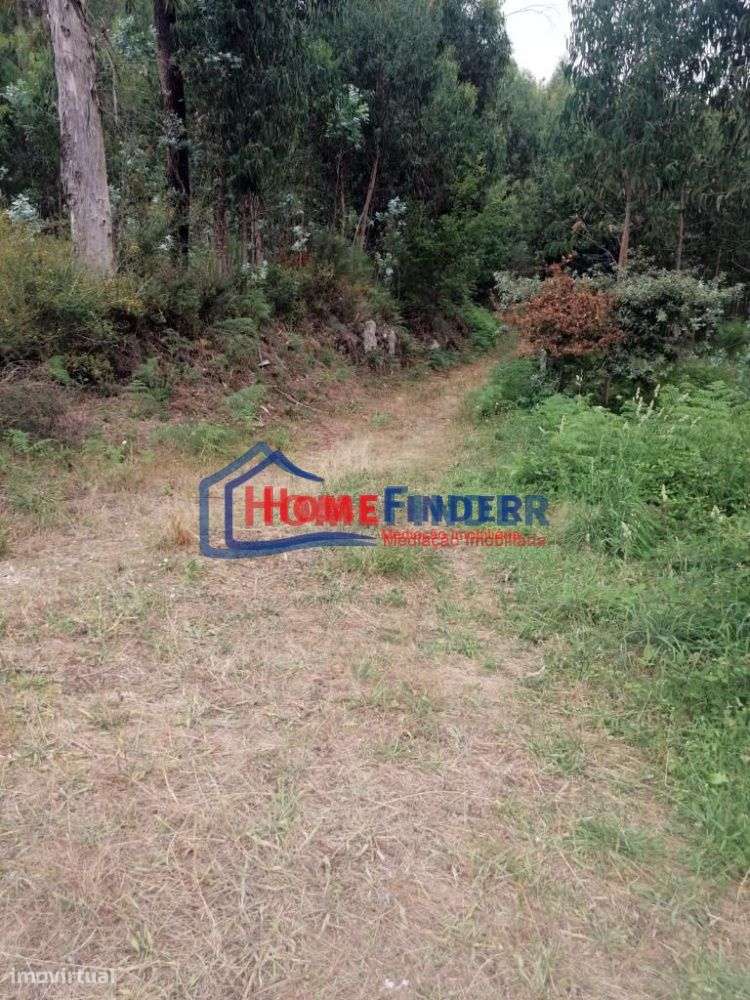 Terrenos com aprox. 2.490 m2 - Monção - Grande imagem: 4/26