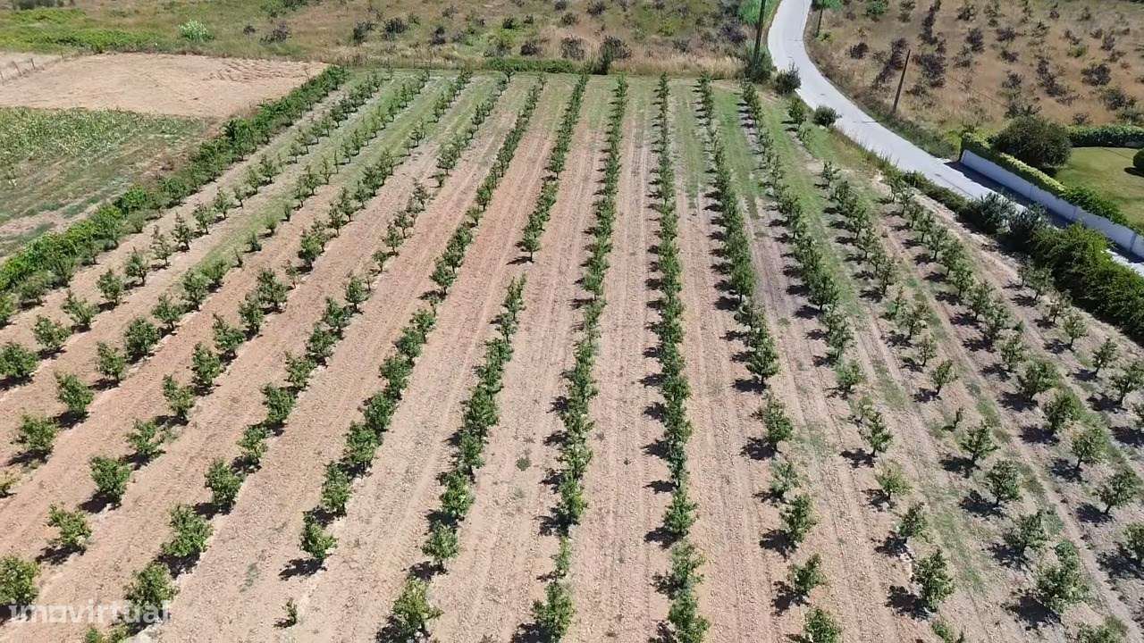 Terreno com projecto em aprovação com 3260 m2-12