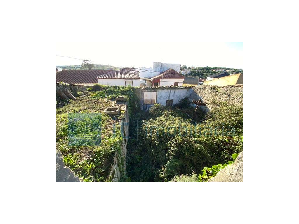 Oportunidade única 3 terrenos independentes para construção perto d...-8