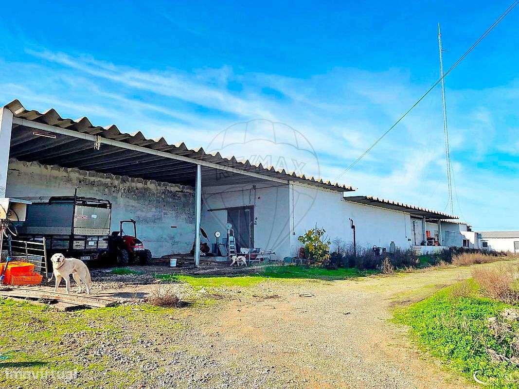 Quinta  para venda-29