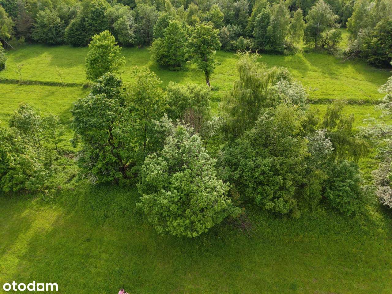 Malownicza działka z panoramą gór- 1184 m² zielonej przestrzeni - Pełny obrazek: 5/13