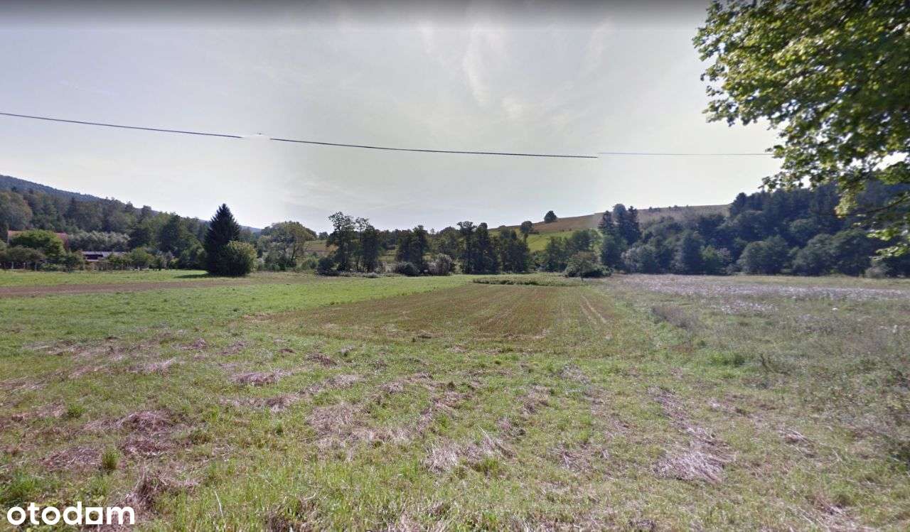 Sprzedam działki w Przygórzu-0