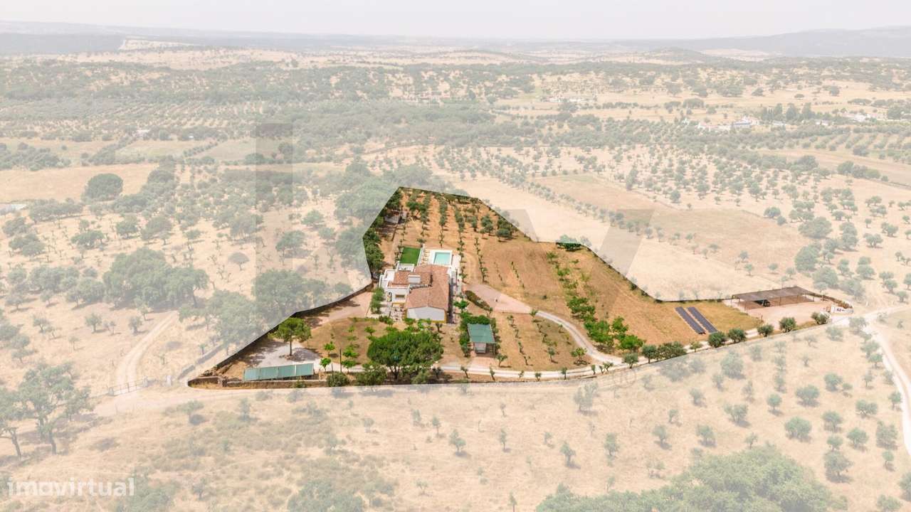 Quinta no Alentejo  -  Oportunidade de Investimento - Grande imagem: 3/38