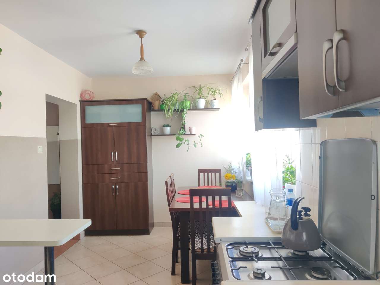 Mały domek z dużą działką-7