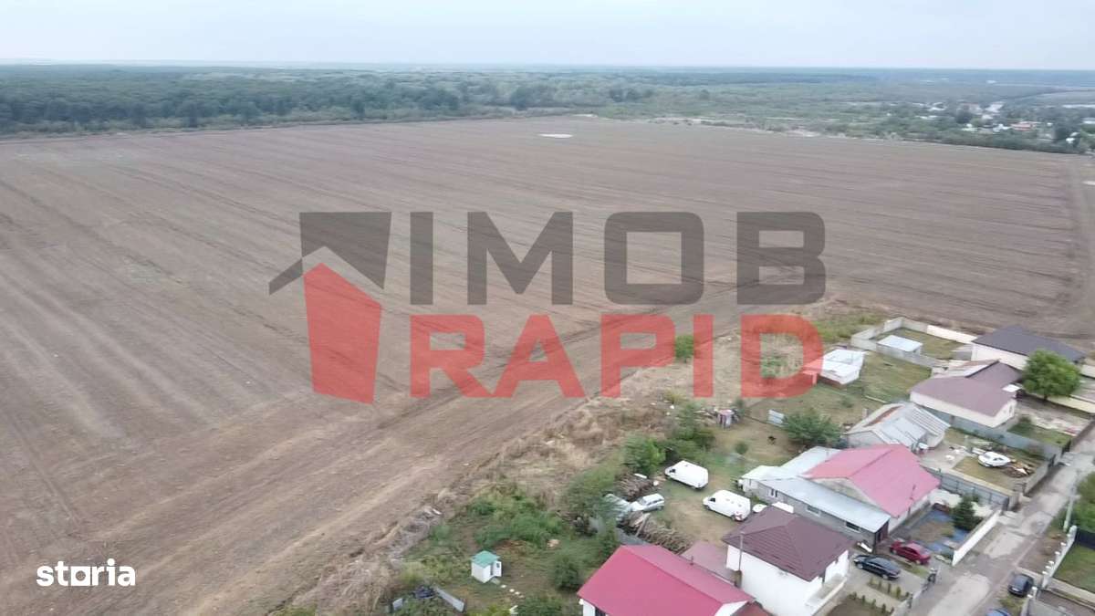 De vanzare 40.000 mp teren extravilan, arabil în Piteasca jud. Ilfov - Imagine principală: 1/8