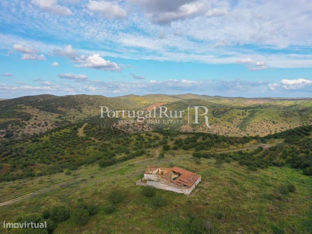Herdades de Caça com 1300 Hectares, junto do rio Guadiana-51