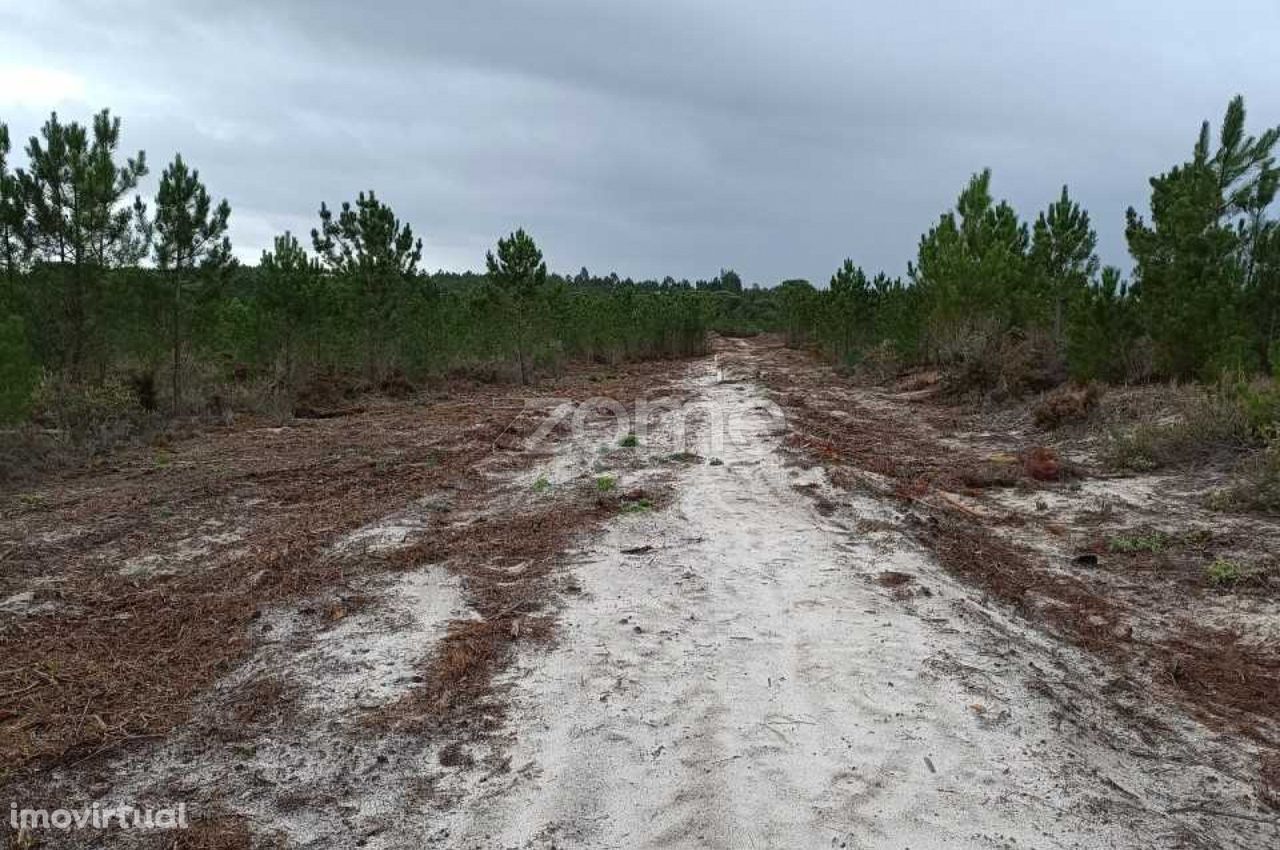 Terreno em Brejinho de Água Sul