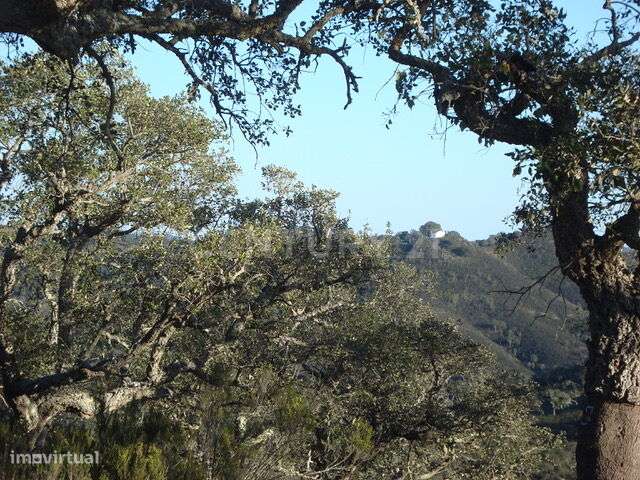 Herdade da Afeiteira - Grande imagem: 3/8