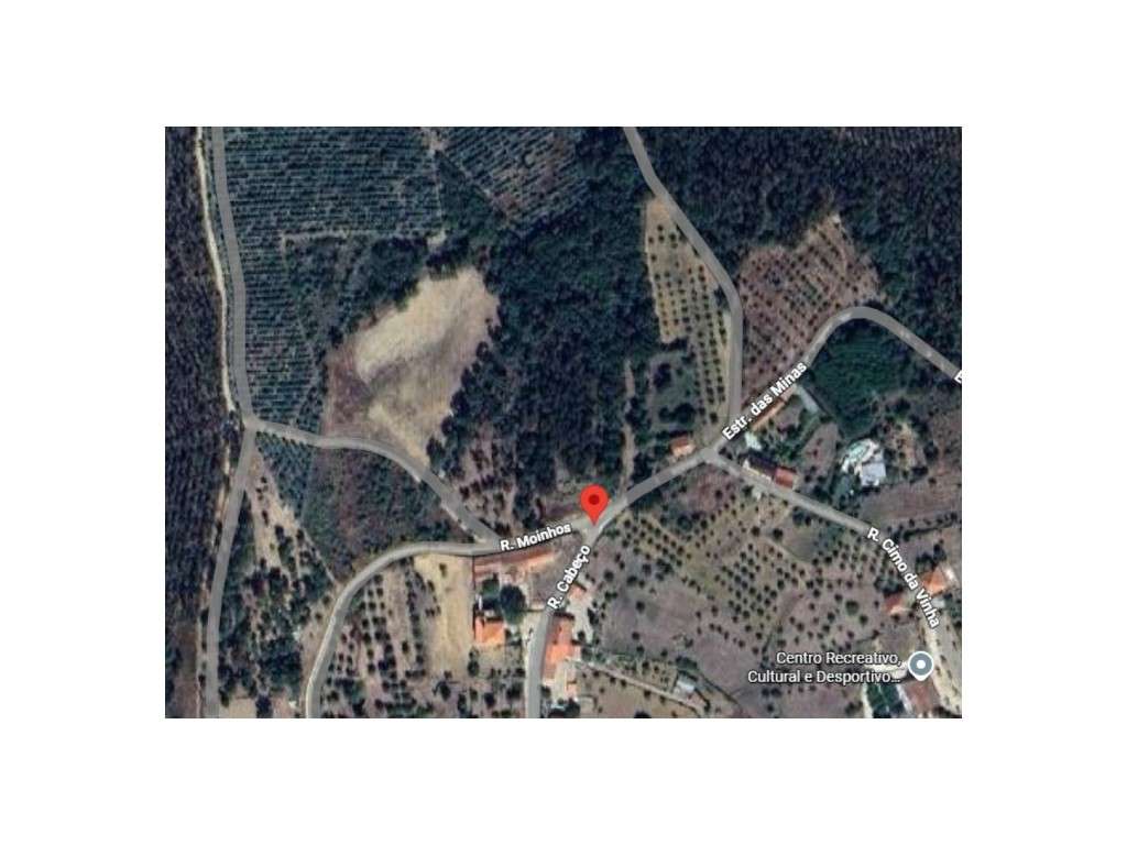 TERRENO RUSTICO OLALHAS TOMAR SANTAREM - Grande imagem: 3/12