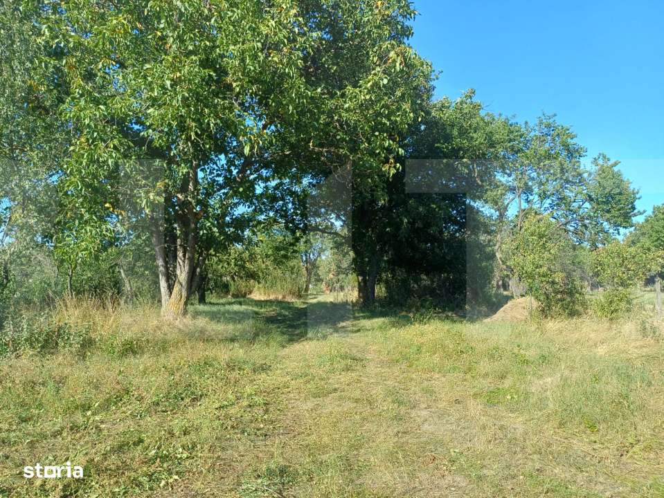 Casa taraneasca cu 3 camere, Turia Jos, - Imagine principală: 5/12