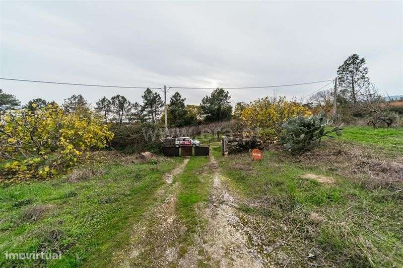 Quinta T1 / Fundão, Vale Prazeres - Grande imagem: 4/19